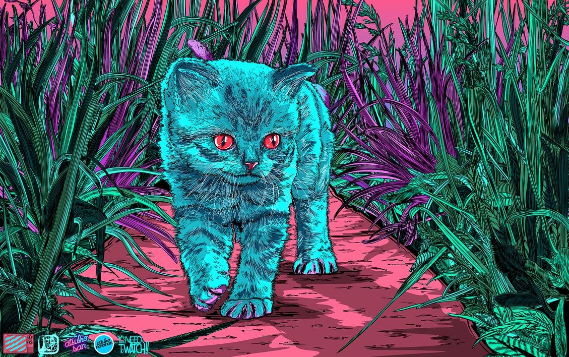 Trippy Cat Wallpapers.
